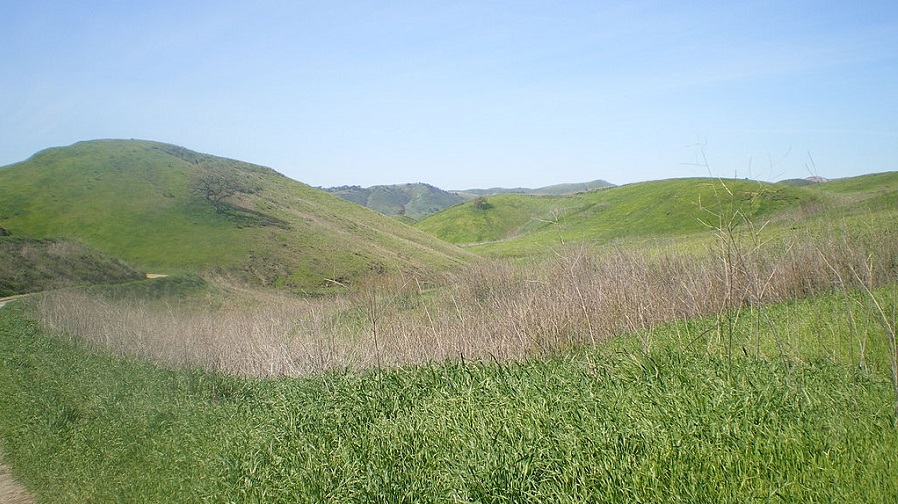 Rolling hills with grasslands, at the the Upper Las Virgenes Canyon Open Space Preserve